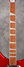 Rickenbacker 360/12 , Ruby: Neck - Front