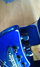 Rickenbacker 360/12 BH BT, Midnightblue: Headstock