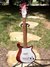 Rickenbacker 420/6 , Fireglo: Full Instrument - Front