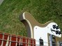 Rickenbacker 4003/4 , Desert Gold: Close up - Free