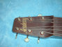 Rickenbacker Academy/6 LapSteel, Brown: Headstock