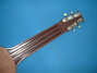 Rickenbacker Academy/6 LapSteel, Brown: Neck - Rear