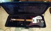 Rickenbacker 480/6 , Eggplant: Free image