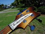 Rickenbacker 4003/4 , Walnut: Headstock