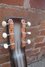 Rickenbacker NS/Post War/6 LapSteel, Gray Sunburst: Headstock - Rear
