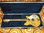 Rickenbacker 360/12 , Mapleglo: Close up - Free2