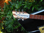 Rickenbacker 330/6 , Mapleglo: Neck - Rear