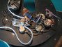 Rickenbacker 460/6 , Jetglo: Free image2