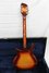 Rickenbacker 610/12 , Fireglo: Full Instrument - Rear