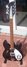 Rickenbacker 330/12 , Jetglo: Free image