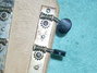 Rickenbacker 59/6 LapSteel, Cream: Free image