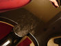 Rickenbacker 4003/4 , Jetglo: Full Instrument - Rear