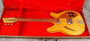 Rickenbacker 330/6 Capri, Natural: Free image
