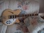 Rickenbacker 370/12 , Mapleglo: Full Instrument - Rear