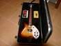Rickenbacker 360/12 VP, MonteBrown: Free image