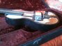 Rickenbacker B/6 PremierVox, Black: Free image