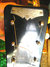 Rickenbacker B/6 LapSteel, Black: Headstock