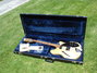Rickenbacker 360/12 BH BT, Mapleglo: Full Instrument - Front