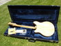 Rickenbacker 360/12 BH BT, Mapleglo: Full Instrument - Rear