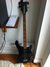 Rickenbacker 4003/4 BH BT, Midnightblue: Full Instrument - Front