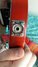 Rickenbacker 1998/6 RoMo, Fireglo: Free image2