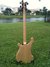 Rickenbacker 4001/4 C64, Mapleglo: Full Instrument - Rear