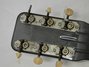 Rickenbacker NS/Post War/6 LapSteel, Gray Sunburst: Headstock - Rear