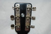 Rickenbacker Electro Spanish/6 Round Neck, Black: Headstock - Rear