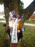 Rickenbacker 4003/4 VP, MonteBrown: Headstock