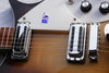 Rickenbacker 620/6 VP, MonteBrown: Free image