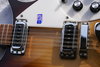 Rickenbacker 620/12 , MonteBrown: Free image