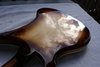 Rickenbacker 4003/4 , MonteBrown: Full Instrument - Rear