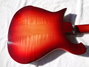 Rickenbacker 660/12 , Amber Fireglo: Full Instrument - Rear