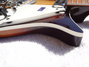 Rickenbacker 620/12 VP, MonteBrown: Free image