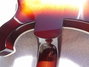 Rickenbacker 620/12 VP, MonteBrown: Close up - Free