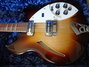 Rickenbacker 360/12 VP, MonteBrown: Free image