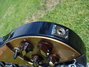 Rickenbacker 325/6 V59, Jetglo: Close up - Free