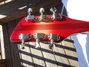 Rickenbacker 360/6 CW, Fireglo: Headstock - Rear