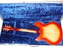 Rickenbacker 345/6 S, Fireglo: Full Instrument - Rear
