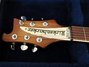 Rickenbacker 481/6 Slant Fret, Autumnglo: Headstock