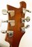 Rickenbacker 481/6 Slant Fret, Autumnglo: Headstock - Rear