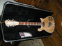 Rickenbacker 660/12 , Mapleglo: Full Instrument - Front