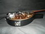Rickenbacker 325/6 V59, Jetglo: Close up - Free