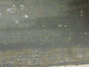Rickenbacker M-15A/amp , : Headstock