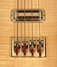 Rickenbacker 4004/4 Cii, Mapleglo: Close up - Free2