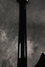 Rickenbacker 325/6 C58, Jetglo: Neck - Rear