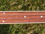 Rickenbacker 4001/4 FL, White: Neck - Front