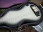 Rickenbacker 59/6 LapSteel, Gray Sunburst: Free image