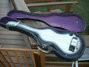 Rickenbacker 59/6 LapSteel, Gray Sunburst: Close up - Free