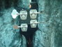 Rickenbacker 4001/4 Refin, Custom: Headstock - Rear